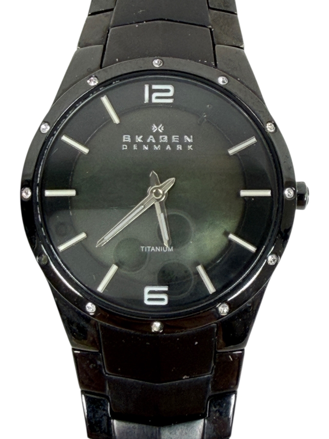Skagen Denmark Men's Titanium Watch Black Band And Case With Crystal Accents