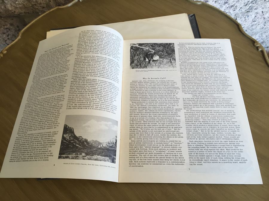 Charles M. Bogert ‎- Sounds Of The American Southwest - Folkways Records ‎- FX 6122 [Photo 4]