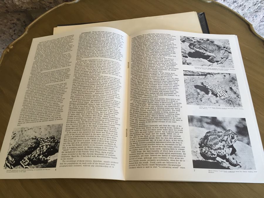 Charles M. Bogert ‎- Sounds Of The American Southwest - Folkways Records ‎- FX 6122 [Photo 5]