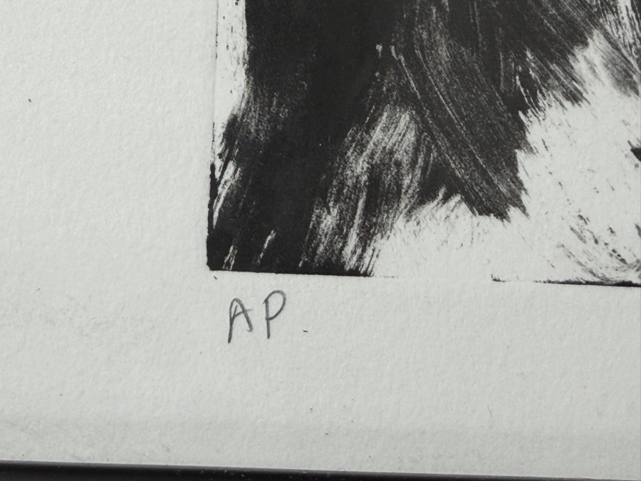 Julie Adler Pencil Signed Artist Proof Print On Paper Dated 2014 And Signed Julie Adler Lower Right 22W X 29.5H Framed 27.5 X 33 [Photo 6]