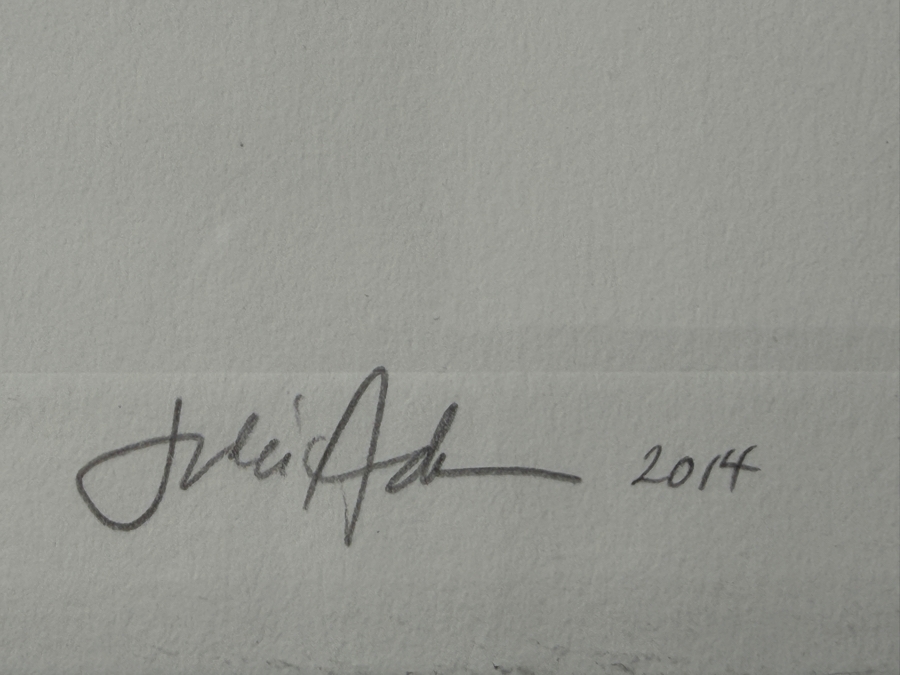 Julie Adler Pencil Signed Artist Proof Print On Paper Dated 2014 And Signed Julie Adler Lower Right 22W X 29.5H Framed 27.5 X 33 [Photo 5]