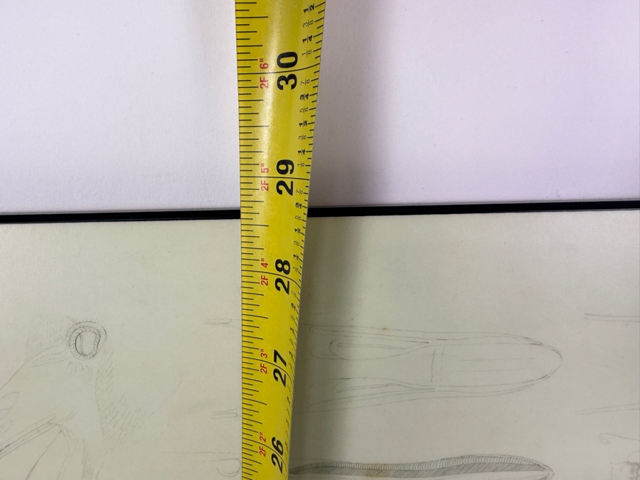 American Flamingo Phoenicopterus Old Male By John James Audubon Print On Board 19'W X 28.5'H (HA) [Photo 7]