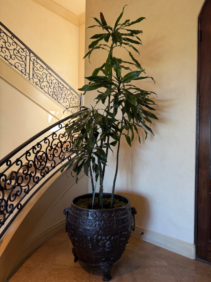 Huge Cast Iron Footed Urn Metal Planter 27.5W X 30H With Artificial Indoor Plant [Photo 4]