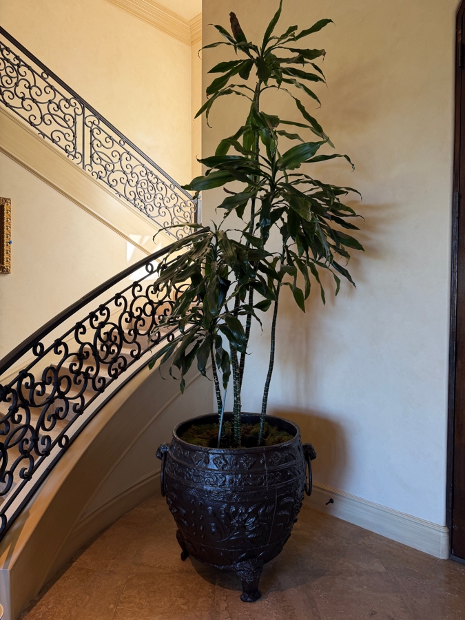 Rancho Santa Fe Estate Online Auction Part 1 (Pick Up From Home)