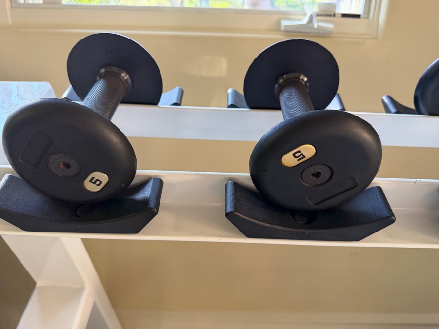 Large Powder Coated Metal Dumbbell Rack With Assorted Dumbbells 93W X 27D X 35H [Photo 4]