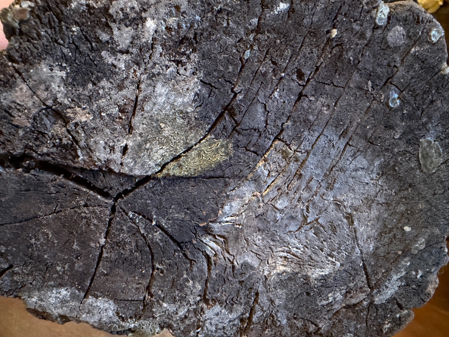 Pair Of Antique Carved Wooden Cherubs With Glass Eyes 29'H (RSF) [Photo 16]