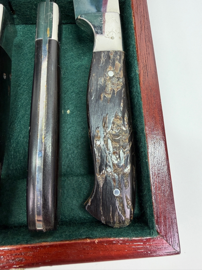 Boxed Set Of (12) Dolfini Texas Style Steak Knives With Cape Buffalo Handles (RSF) [Photo 5]