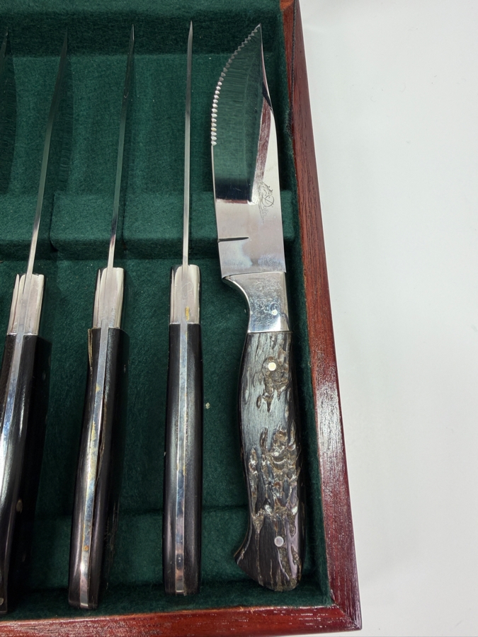 Boxed Set Of (12) Dolfini Texas Style Steak Knives With Cape Buffalo Handles (RSF) [Photo 4]