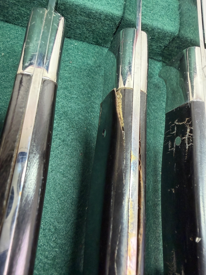 Boxed Set Of (12) Dolfini Texas Style Steak Knives With Cape Buffalo Handles (RSF) [Photo 6]