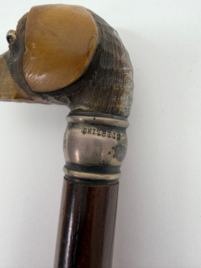 Just Added - Antique Victorian Carved Dog Head Child's Dress Cane Walking Stick With Sterling Silver Ornamentation And Rosewood Shaft 24'L (RSF) [Photo 5]