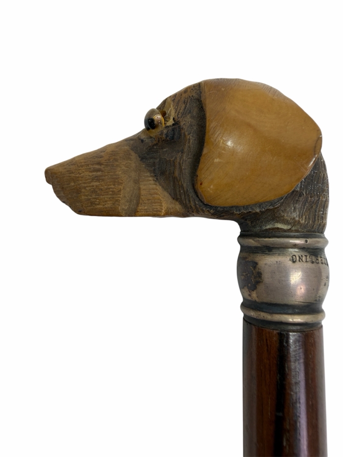 Just Added - Antique Victorian Carved Dog Head Child's Dress Cane Walking Stick With Sterling Silver Ornamentation And Rosewood Shaft 24'L (RSF) [Photo 2]
