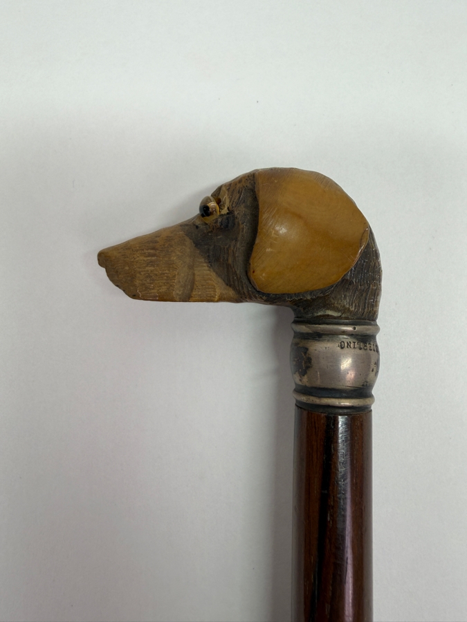 Just Added - Antique Victorian Carved Dog Head Child's Dress Cane Walking Stick With Sterling Silver Ornamentation And Rosewood Shaft 24'L (RSF) [Photo 4]