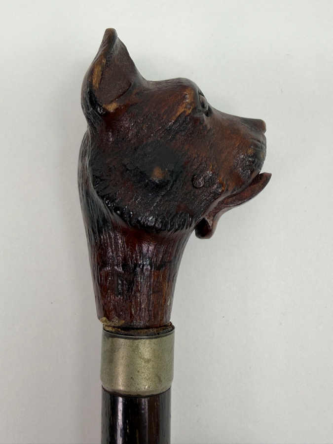 Just Added - Antique Victorian Carved Dog Head Child's Dress Cane Walking Stick With Sterling Silver Ornamentation And Rosewood Shaft (Dog's Mouth Moves With Spring Action Return) 24'L (RSF) [Photo 7]