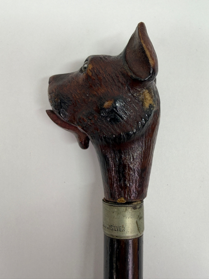 Just Added - Antique Victorian Carved Dog Head Child's Dress Cane Walking Stick With Sterling Silver Ornamentation And Rosewood Shaft (Dog's Mouth Moves With Spring Action Return) 24'L (RSF) [Photo 5]