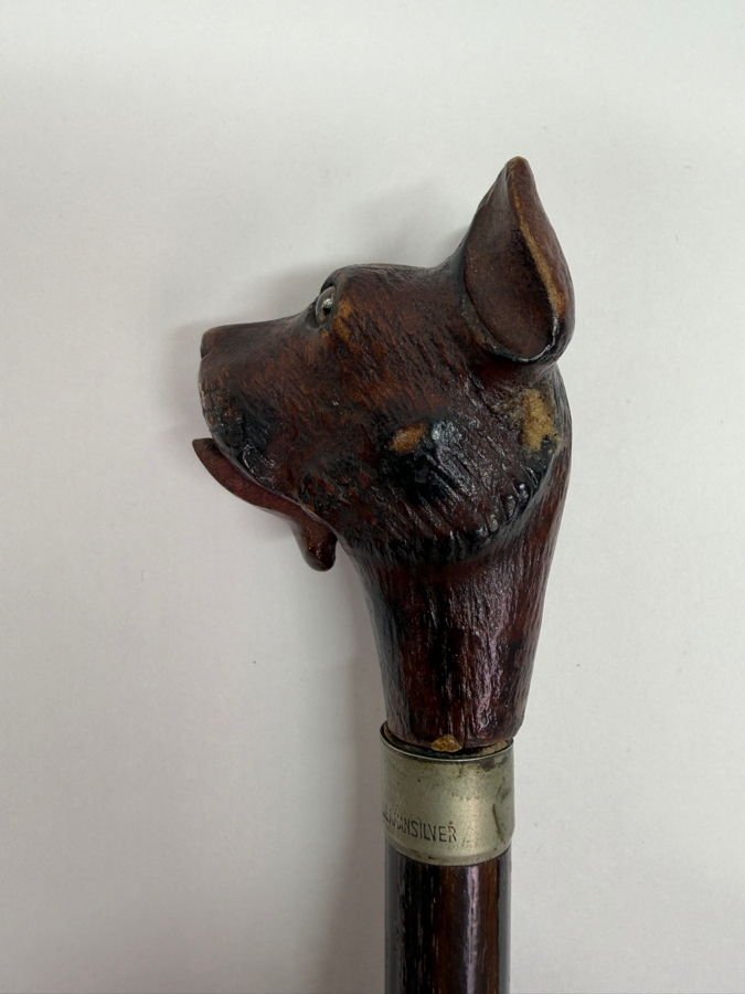 Just Added - Antique Victorian Carved Dog Head Child's Dress Cane Walking Stick With Sterling Silver Ornamentation And Rosewood Shaft (Dog's Mouth Moves With Spring Action Return) 24'L (RSF) [Photo 4]