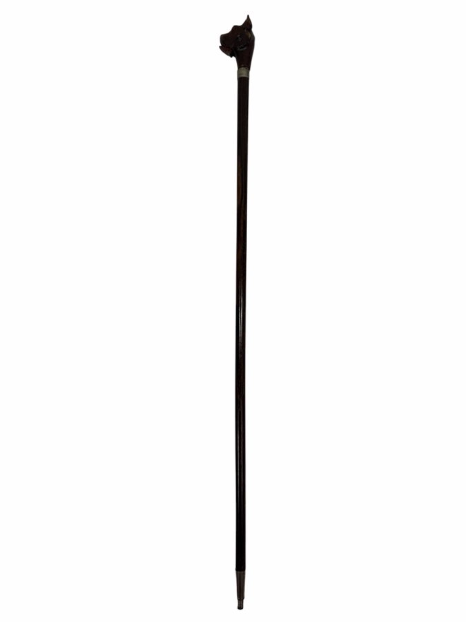 Just Added - Antique Victorian Carved Dog Head Child's Dress Cane Walking Stick With Sterling Silver Ornamentation And Rosewood Shaft (Dog's Mouth Moves With Spring Action Return) 24'L (RSF) [Photo 3]