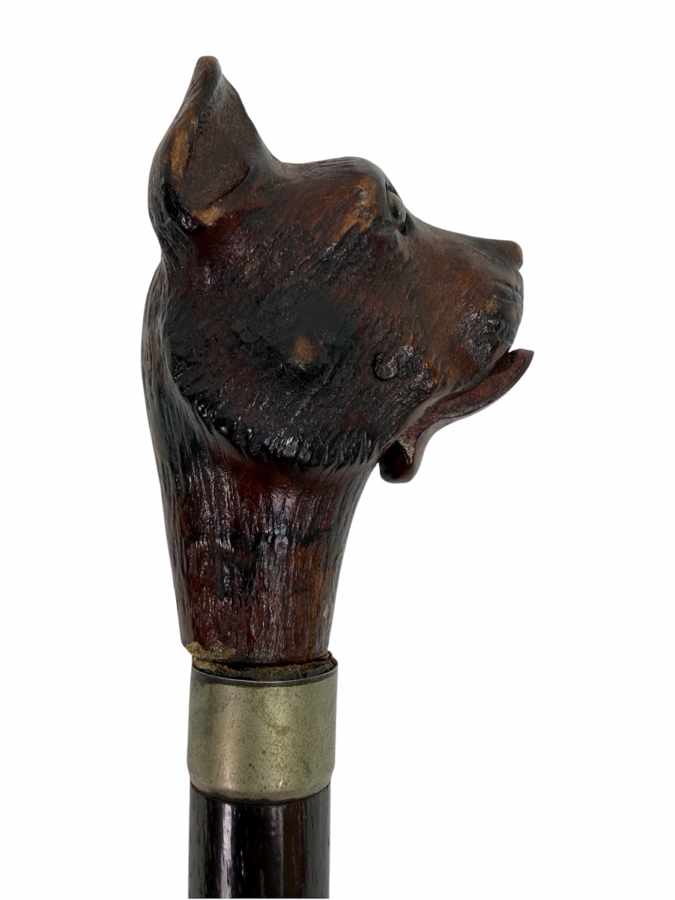 Just Added - Antique Victorian Carved Dog Head Child's Dress Cane Walking Stick With Sterling Silver Ornamentation And Rosewood Shaft (Dog's Mouth Moves With Spring Action Return) 24'L (RSF) [Photo 2]