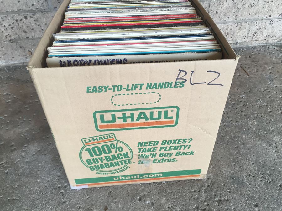 Bulk Vinyl Record Lot 2