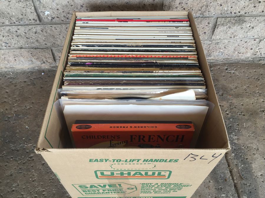 Bulk Vinyl Record Lot #4