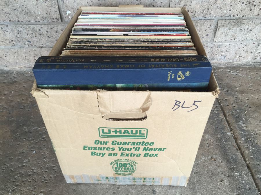 Bulk Vinyl Record Lot 5