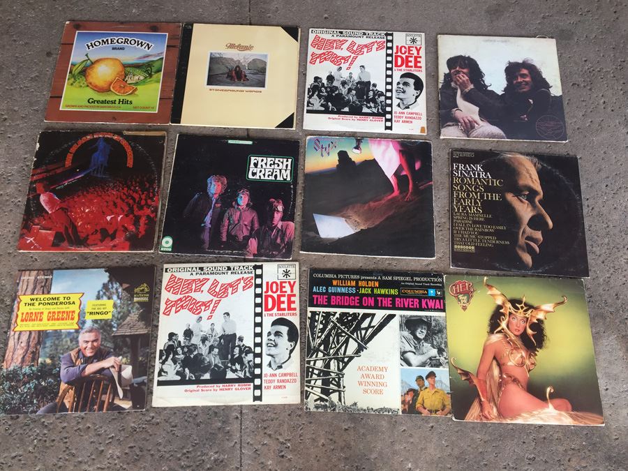 Bulk Vinyl Record Lot #6