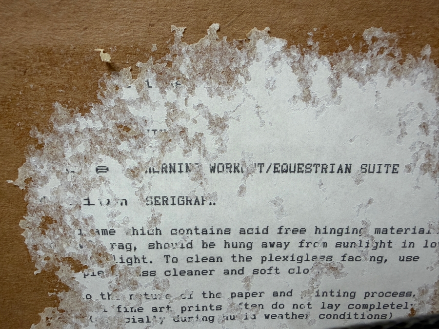 Just Added - Morning Workout By Mark King, A Signed And Numbered Limited Edition Serigraph On Paper From His Equestrian Suite 17' X 23' Framed 27.5' X 32'  (RSF)
 [Photo 13]