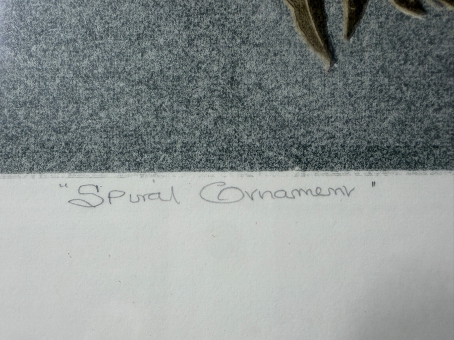 Artist Signed Limited Edition Print By Barbara Robertson Dated 1973 Titled 'Spiral Ornament' Numbered 5 Of 16 Framed 24 X 31 [Photo 6]