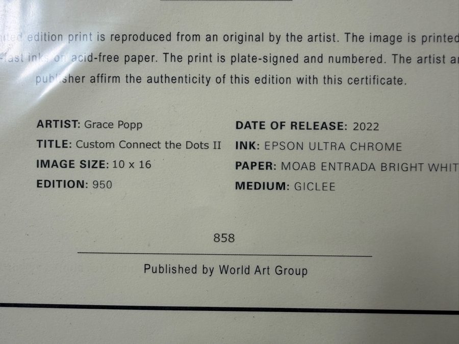 Grace Popp Artist Signed Limited Edition Giclee Print Titled 'Custom Connect The Dots II' 10 X 16 Dated 2022 Framed 19 X 24 [Photo 12]