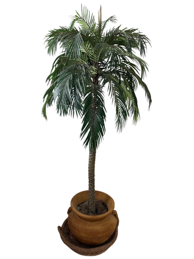 Large Artificial Sago Palm Tree In Handled Terracotta Planter 20'W X 90'H [Photo 2]