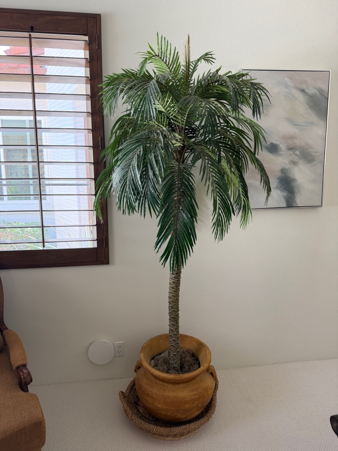 Large Artificial Sago Palm Tree In Handled Terracotta Planter 20'W X 90'H