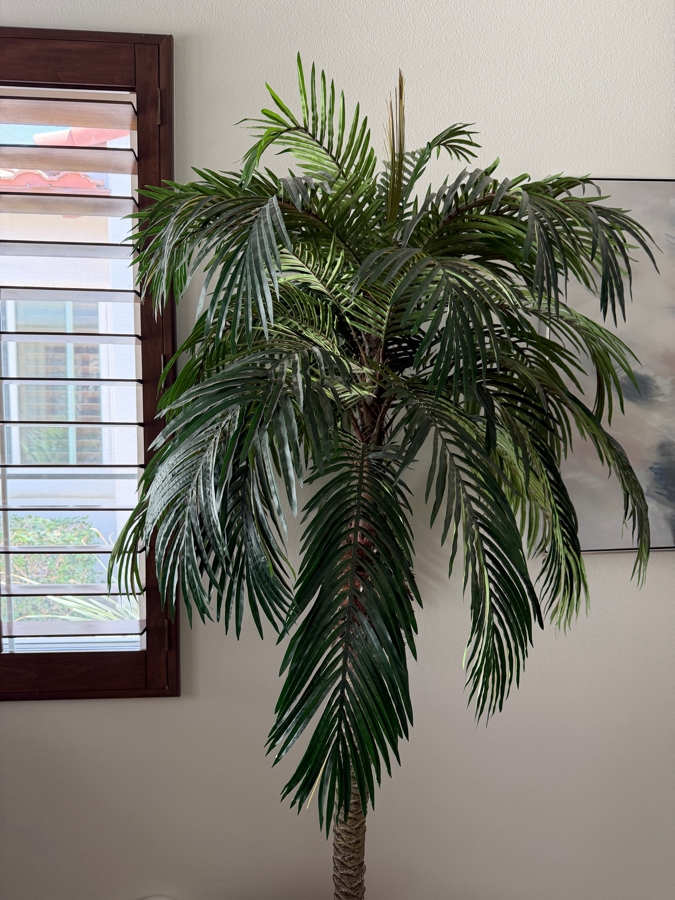 Large Artificial Sago Palm Tree In Handled Terracotta Planter 20'W X 90'H [Photo 4]