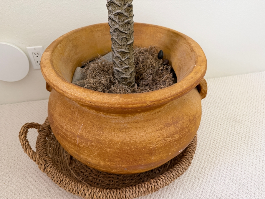 Large Artificial Sago Palm Tree In Handled Terracotta Planter 20'W X 90'H [Photo 5]