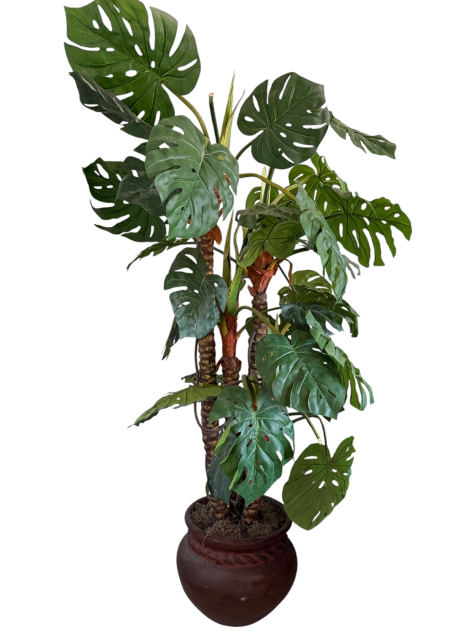 Large Artificial Monstera Deliciosa Floor Plant In Rustic Braided Rim Terracotta Planter 17'W X 80'H