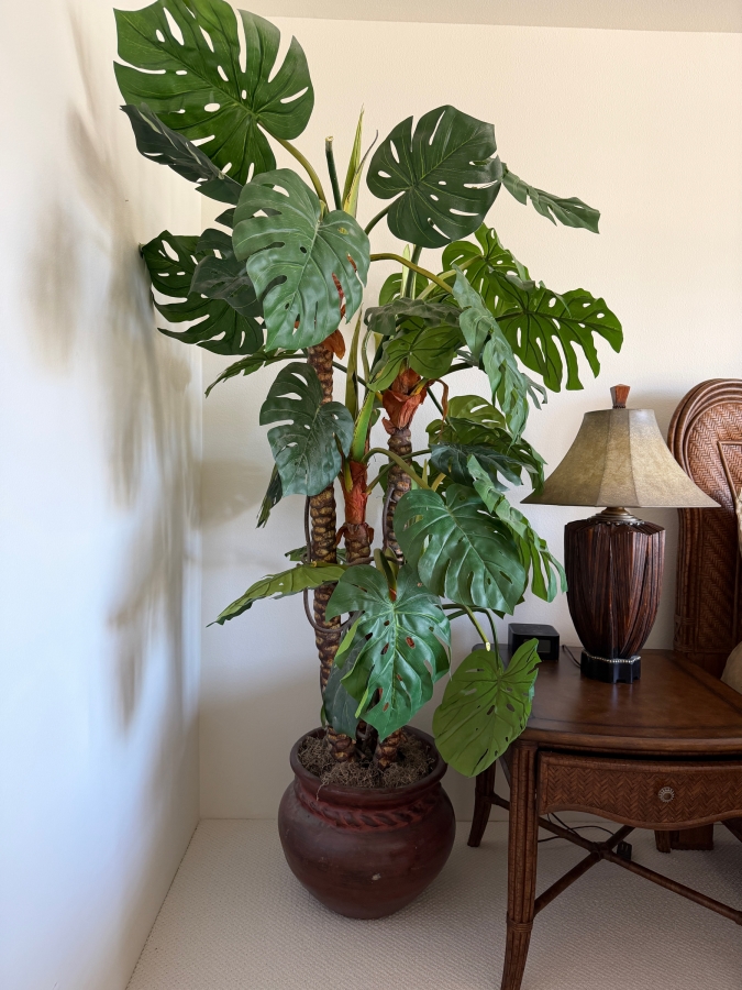 Large Artificial Monstera Deliciosa Floor Plant In Rustic Braided Rim Terracotta Planter 17'W X 80'H [Photo 2]