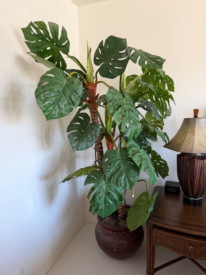 Large Artificial Monstera Deliciosa Floor Plant In Rustic Braided Rim Terracotta Planter 17'W X 80'H [Photo 6]