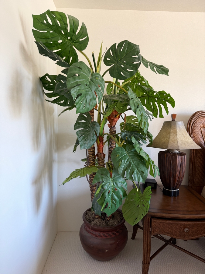 Large Artificial Monstera Deliciosa Floor Plant In Rustic Braided Rim Terracotta Planter 17'W X 80'H [Photo 3]