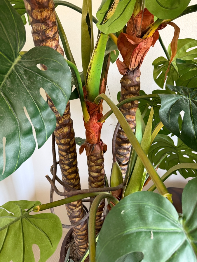 Large Artificial Monstera Deliciosa Floor Plant In Rustic Braided Rim Terracotta Planter 17'W X 80'H [Photo 4]