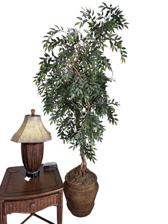 Large Artificial Ficus Benjamina Weeping Fig Tree With Lifelike Natural Wood Trunk In Rustic Aged Mediterranean Terracotta Urn With Moss Finishing Pot: 20'H Plant: 101'H [Photo 2]