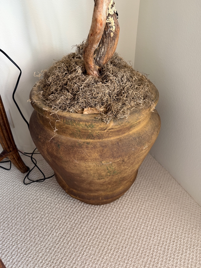 Large Artificial Ficus Benjamina Weeping Fig Tree With Lifelike Natural Wood Trunk In Rustic Aged Mediterranean Terracotta Urn With Moss Finishing Pot: 20'H Plant: 101'H [Photo 4]