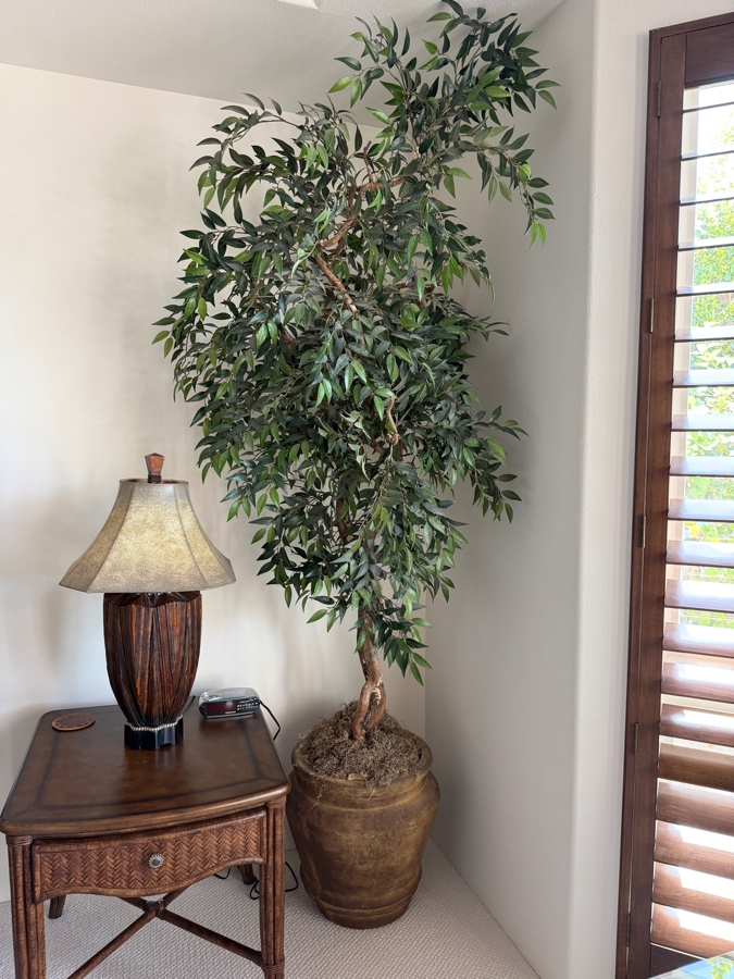 Large Artificial Ficus Benjamina Weeping Fig Tree With Lifelike Natural Wood Trunk In Rustic Aged Mediterranean Terracotta Urn With Moss Finishing Pot: 20'H Plant: 101'H [Photo 3]
