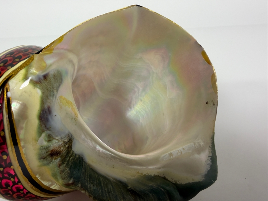Just Added - Hand Painted Organic Seashell Signed F. D. 5'W X 3'H [Photo 7]