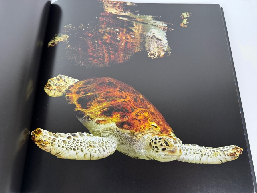 Just Added - Hardcover Book Sea By Mark Laita [Photo 6]