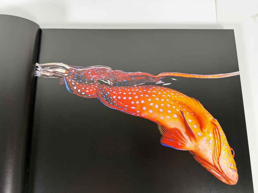 Just Added - Hardcover Book Sea By Mark Laita [Photo 4]