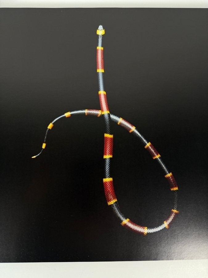 Just Added - Hardcover Book Serpentine By Mark Laita [Photo 4]