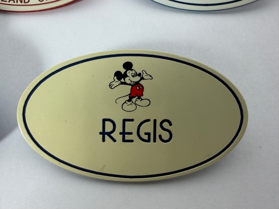 Vintage Lot Of 5 Walt Disney World And Disneyland Cast Member Gary And Regis Name Tags 2.5'H [Photo 6]
