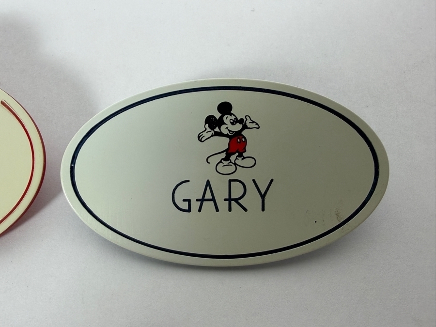 Vintage Lot Of 5 Walt Disney World And Disneyland Cast Member Gary And Regis Name Tags 2.5'H [Photo 4]