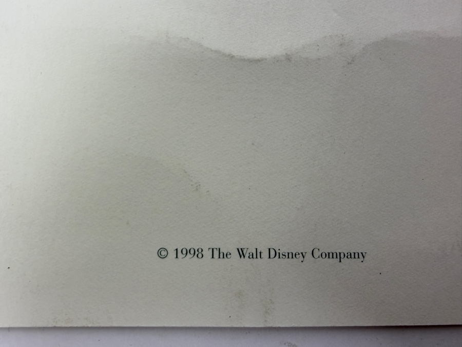 Vintage 1998 Disney’s Animal Kingdom Grand Opening Commemorative Medallion Cast Member Exclusive Mounted On Special Presentation Card [Photo 5]