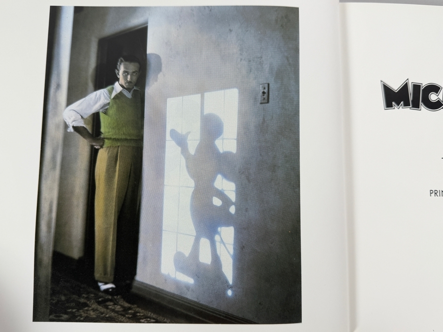 Walt Disney's Mickey Mouse Memorabilia: The Vintage Years 1928-1938 By Bevis Hillier And Bernard C. Shine Hardcover Book [Photo 3]