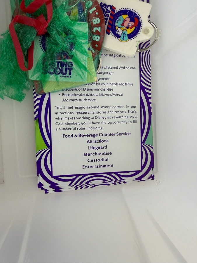 RARE Vintage 1990s Walt Disney World Casting Scout Cast Member Employee Exclusive Promotional Tool Kit In Clear Plastic Organizer Box With Promotional Items - See Photos
 [Photo 25]