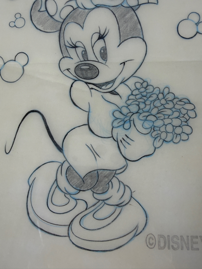 Original Walt Disney Hand Drawn Minnie Mouse With Flowers T-Shirt Design By Disney Artist Mark Seppala Purchased For $1,010 From The 1st Disneyana Convention In 1992 At Walt Disney World Resort 13 X 16 Framed 22 X 25 [Photo 7]